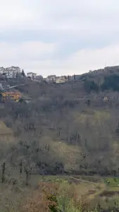 area faunistica dell'orso Campoli Appennino
