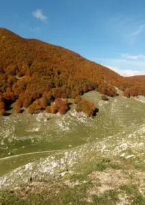 sentieri foliage Forca D'Acero