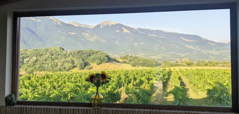 panoramica Val Comino da cantina Petra Potens