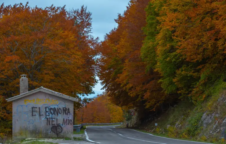 strada foliage Forca D'Acero