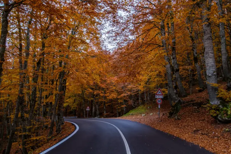 strada foliage Forca D'Acero