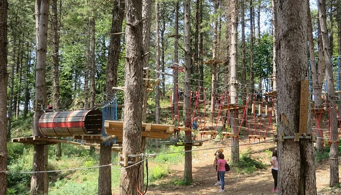 parco avventura Indiana Park