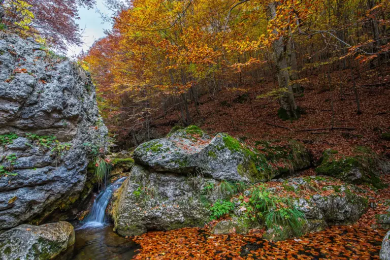 escursione e trekking Canneto